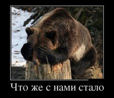 Куда катиться Россия.