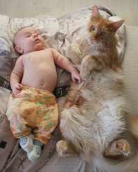 Да такого слона фиг прокормишь