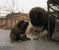 Че то слишком мелких наябывает ))   А таких слабо ?
