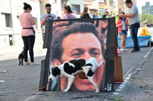 Удачный кадр и никакого фотошопа