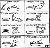 а теперь зарядка