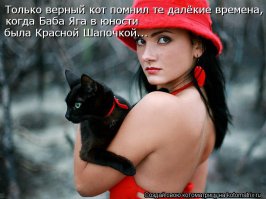 Женские демотиваторы