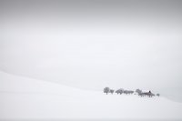 1600 x 1096 бесплатно
_https:
_