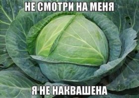 Фотоподборка за 14.09.2015
