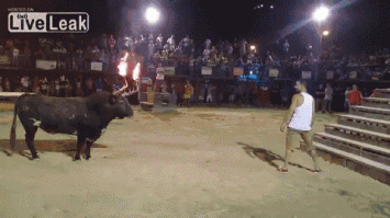 Надо быть полным дебилом.
А если честно, ни чего смешного не увидел.