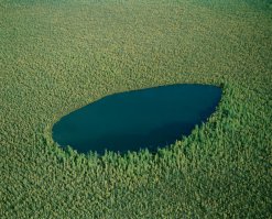 Великоустюгский район, Вологодская область, Россия 60° 53' 11.81" N 45° 19' 48.38" E    Не?