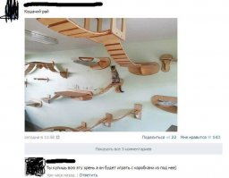 17 полезных советов для тех, у кого есть кошка