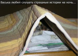 Заброшенная дача