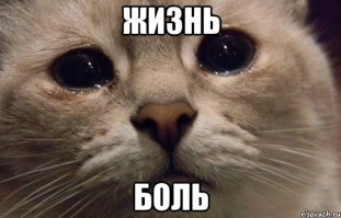 "Не трогайте полотенце для рук". Секреты отелей, о которых вы не знали