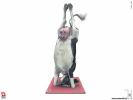 ...почему-то напомнило...