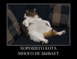 чем на Руси мерились купцы?