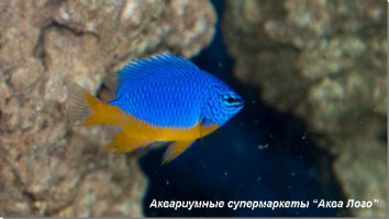 Нас пидтримали !