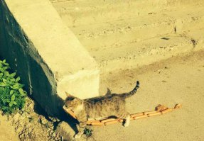 тихо сп*здил и пошел, называется нашел!)