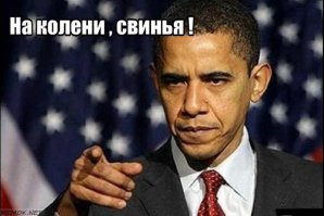 Чёрный господин ценит хохлов свинорылых за то, что их можно ипать во все дыры !