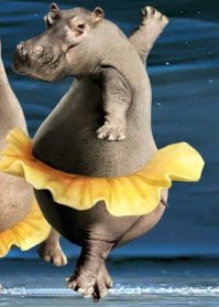 Эта девушка доказала всем, что йогой можно заниматься вне зависимости от комплекции 