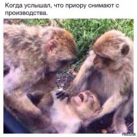 Авария на свадьбе