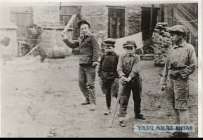 Чиж, клёк, халихоло