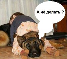 20 доказательств того, что малыши могут уснуть где угодно