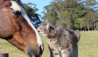 Тогда это тебе!