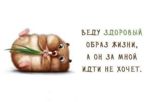 Мир не без добрых людей