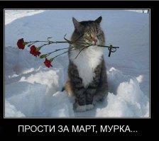 Настоящий мужчина?