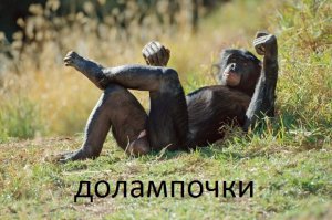 16 сентября Арнольд Шварценеггер получил гражданство США