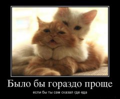 20 кулинарных хитростей, о которых вы не знали