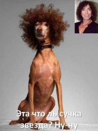 Шевелюра этой собаки настолько прекрасна, что она сделала её звездой  