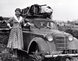 Выставка "Машины нашего двора"