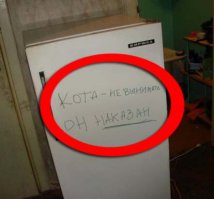 SMS на холодильнике