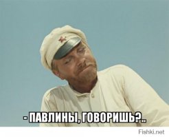 Пуля — дура, штык — молодец