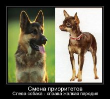 Разве это настоящая собака?
Существо, похожее на плюшевую игрушку, созданное, чтобы быть игрушкой, и с интеллектом игрушки.