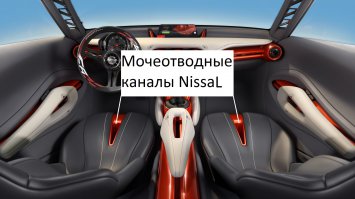 Nissan скрестил спорткар и кроссовер