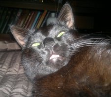 третьим будешь?