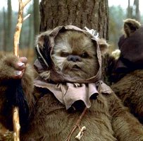 Шевелюра этой собаки настолько прекрасна, что она сделала её звездой  