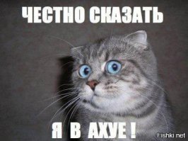 Речной трамвайчик