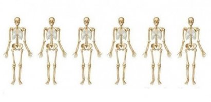 Их тоже часто путают: