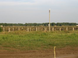 У нас вот так стоят. Тоже ржавеют, конечно, но хрен кому нам ползать разрешат. В конце концов, цена каждой такой 50-ти летней железяки около 500тыс$