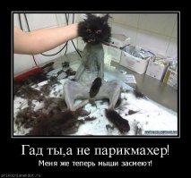 Немного юмора о парикмахерах, парикмахерских и клиентах