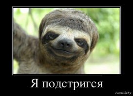 Немного юмора о парикмахерах, парикмахерских и клиентах