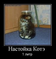 Вообще-то тут явно 3 литра ...