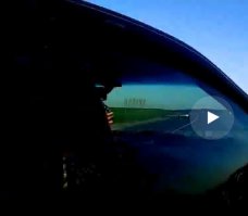 Флажок на панели указывает на содержимое черепной коробки.