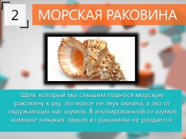 10 Интересных фактов 