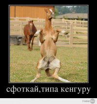 Прикольные демотиваторы