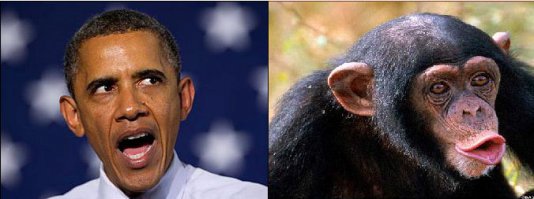 10 моделей, которых путают между собой