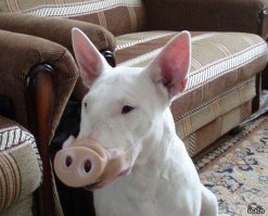 Неожиданно!!!