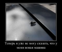 Подборка демотиваторов, которые поднимут вам настроение!