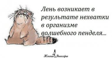 Вот так выглядит лень