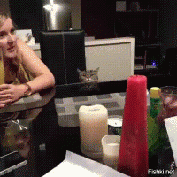 А потом кошак будет в тебе дырку прожигать таким взглядом: