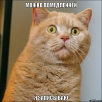 Схватка львов из-за самки